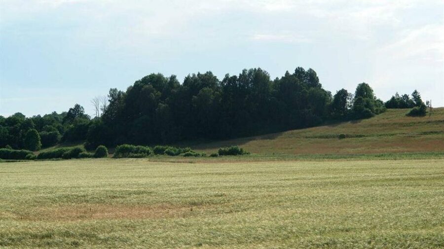 Vārtājas pilskalns